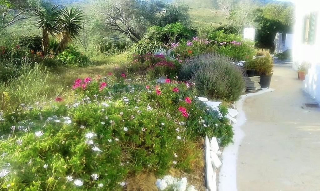 فيلا Avgoustis' Stone House Otziás المظهر الخارجي الصورة
